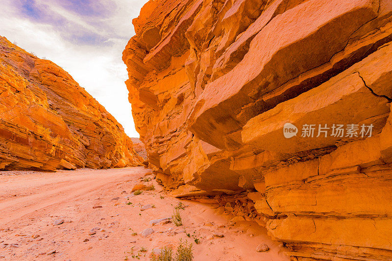 Anza Borrego沙漠红色岩壁和土路(P)